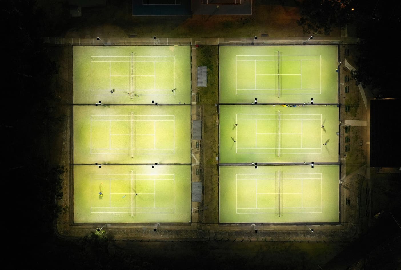 Neural Implants for Faster Betting Predictions